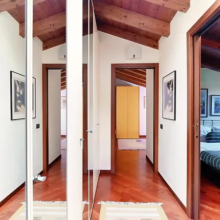 Sunflower - By My In Como