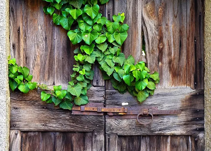 Апартаменты Sunflower - By My In Como *