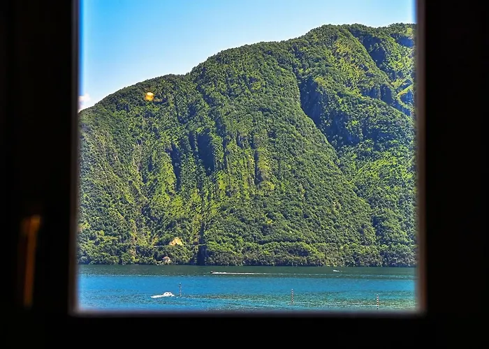 Sunflower - By My In Como * レンノ