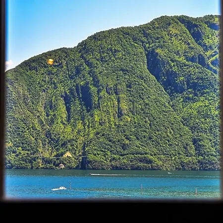 Sunflower - By My In Como * Lenno