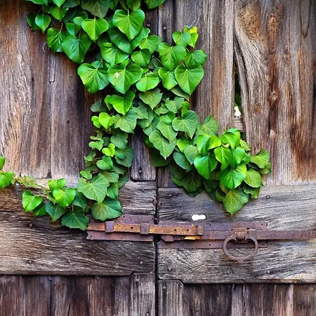 Apartamento Sunflower - By My In Como *